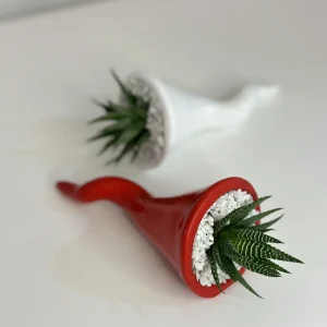 Corno in ceramica con piantina vera